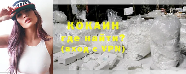 соль ск Дмитровск