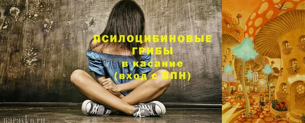 мет Дмитров