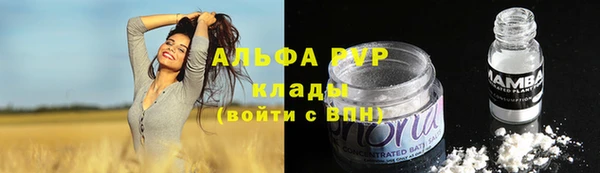 твердый Дмитриев