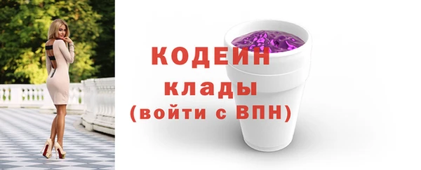 соль ск Дмитровск