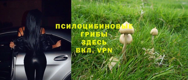 мет Дмитров