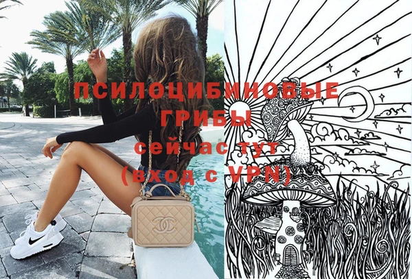 соль ск Дмитровск