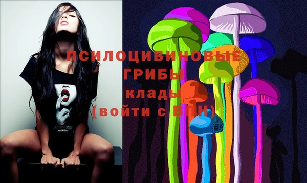 мет Дмитров