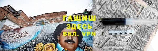 твердый Дмитриев