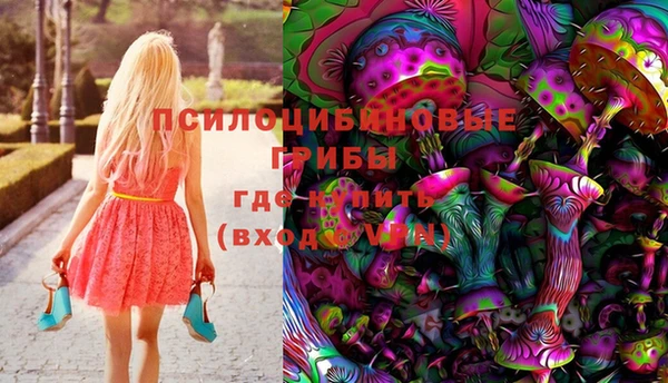 мет Дмитров