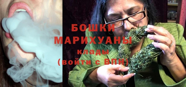 твердый Дмитриев