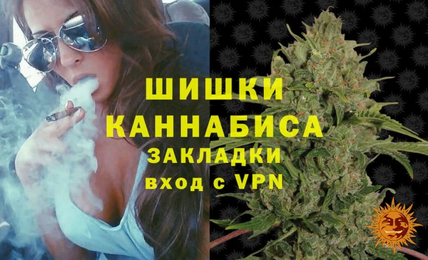 твердый Дмитриев