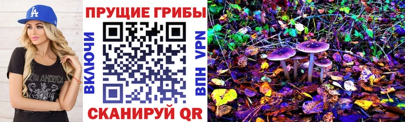 Купить  Братск  Галлюциногенные грибы прущие грибы 